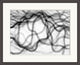 Aperture Black, Giclee Reproduction Artwork