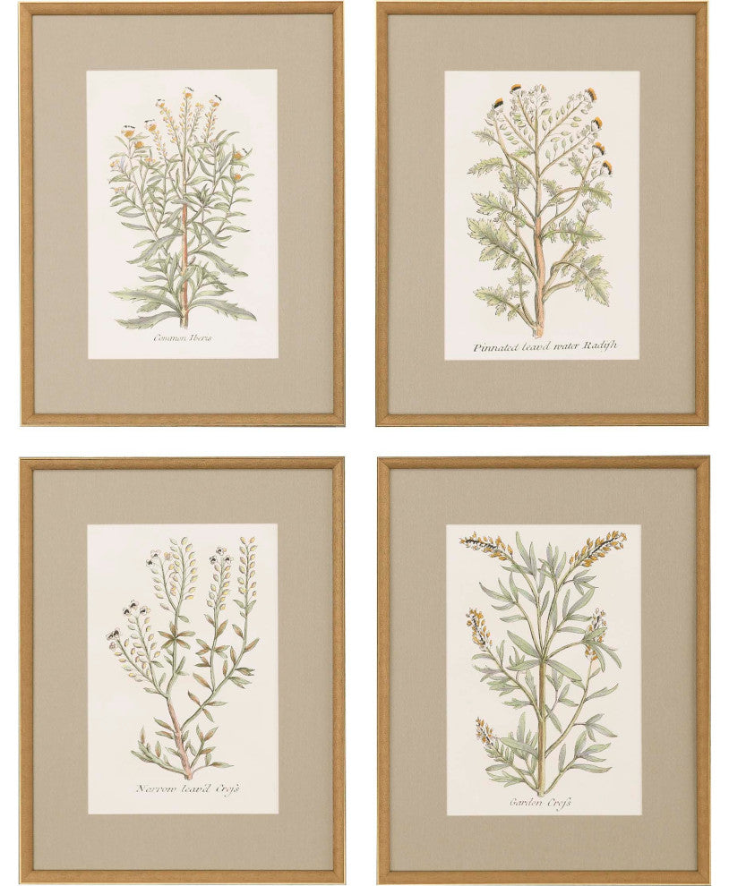 Botanical Plants Art, 4-Piece Set