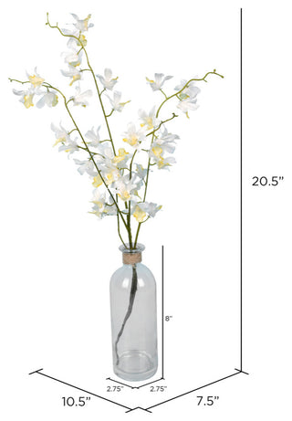 Vickerman 20.5" Mini Orchid in Glass Pot, White