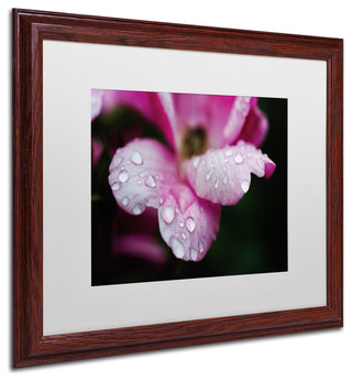 PIPA Fine Art 'Raindrops on Wild Rose Color' Matted Framed Art, 20x16