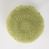 GDF Studio Ash Outdoor Handcrafted Modern Fabric Weave Pouf, Lime