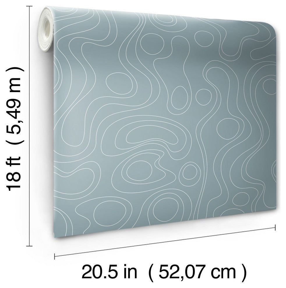 Emily Rayna Blue Lineation Peel and Stick Wallpaper