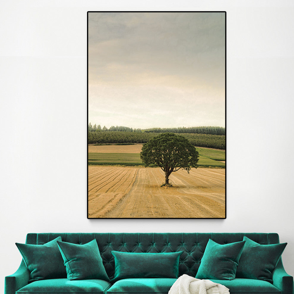 "Lone Tree in an Autumn Field" Oversized Framed Canvas, 60" x 40"