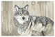 "Wolf in Grass on Barn Board" Digital Paper Print by Jacquie Vaux, 38"x26"