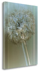 "Flaura I" By W. Blake, Giclee Print on Gallery Wrap Canvas, Ready to Hang
