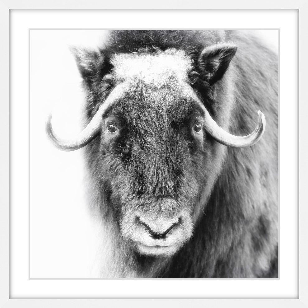 Marmont Hill, "Look at Me" Framed Painting Print, 32x32