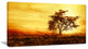 "African Tree Silhouette" Landscape Canvas Photo Print, 40"x20"