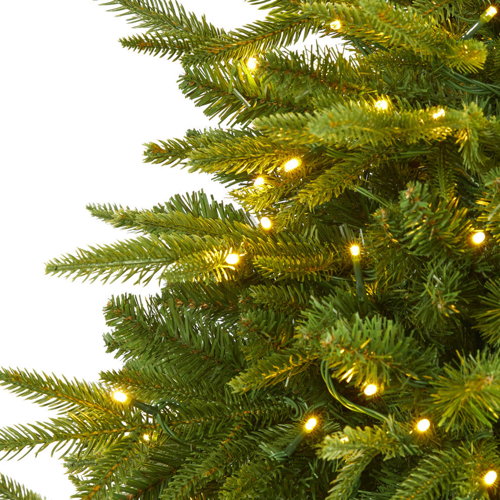 5ï¿½ Colorado Mountain Fir ï¿½Natural Lookï¿½ Christmas Tree / 250 Clear LED Lights