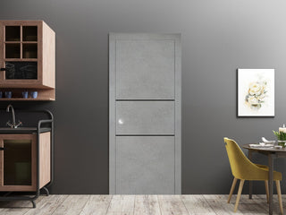 Slab Barn Door Panel 36 x 96 | Planum 0014 Concrete with  | Sturdy Finished