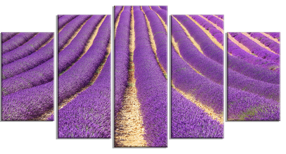 Beautiful Pattern of Blooming Lavender, Flower Canvas Print, 60"x32", 5 Panels
