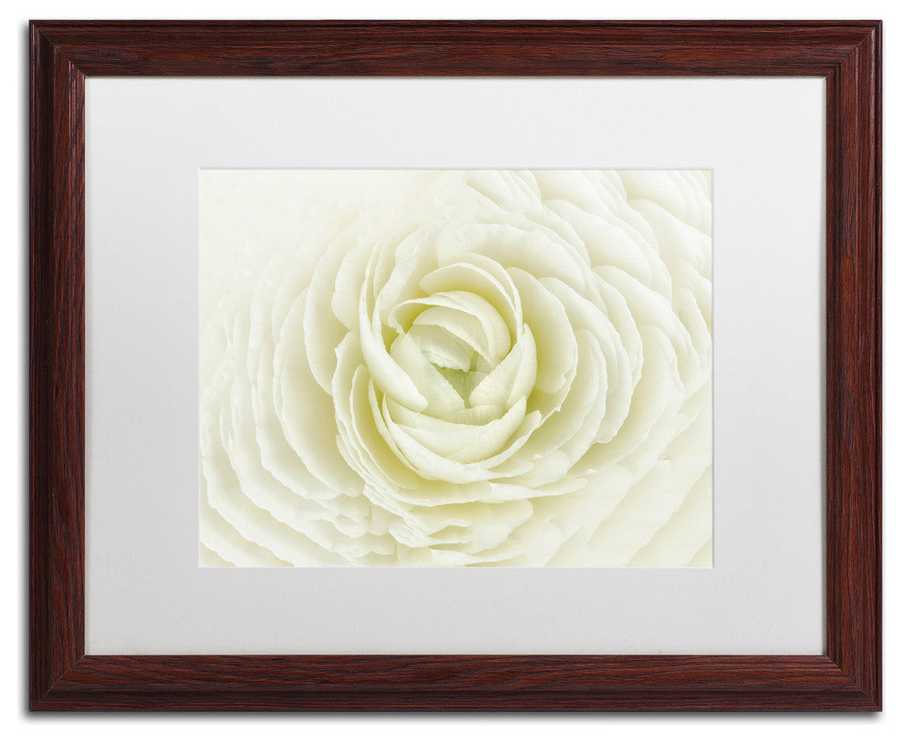 Cora Niele 'White Persian Buttercup' Matted Framed Art