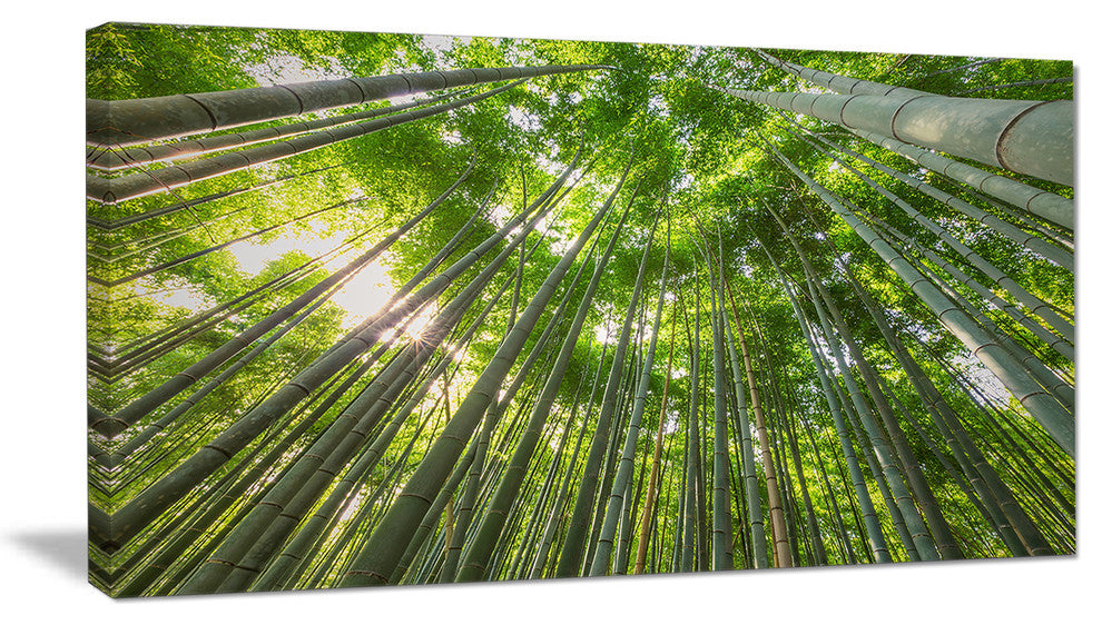 "Peaks of Bamboo in Kyoto Forest" Oversized Forest Wall Art, 32"x16"