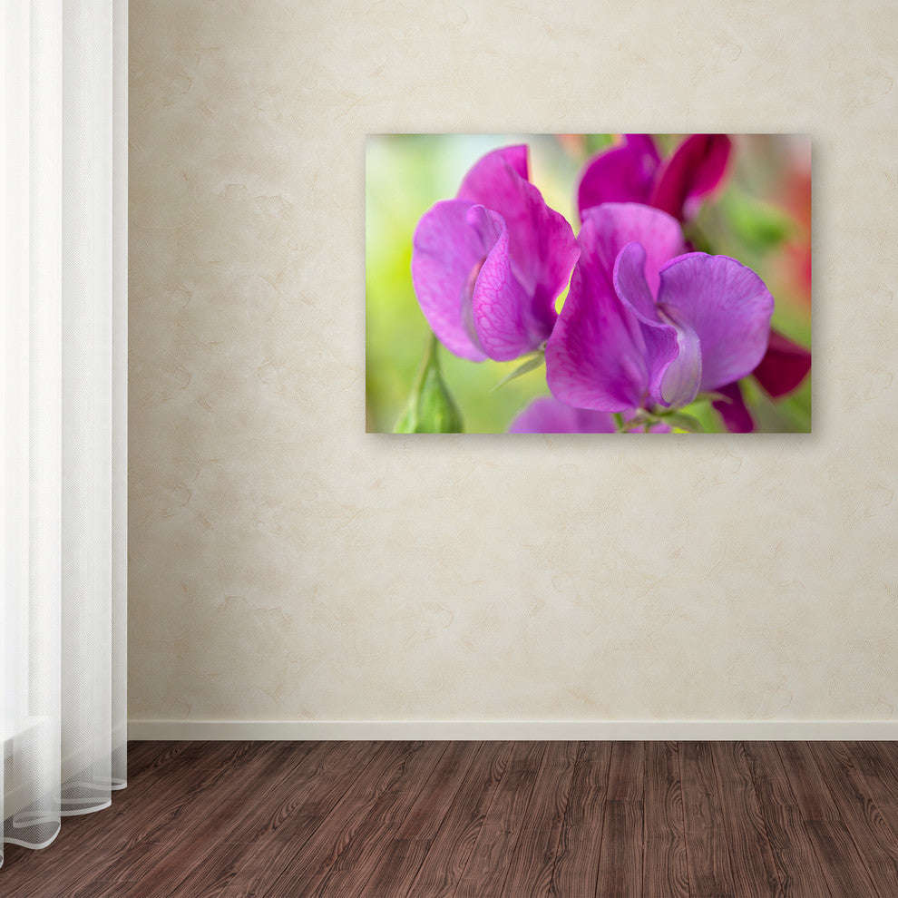Cora Niele ''Two Sweet Pea Flowers'' Canvas Art