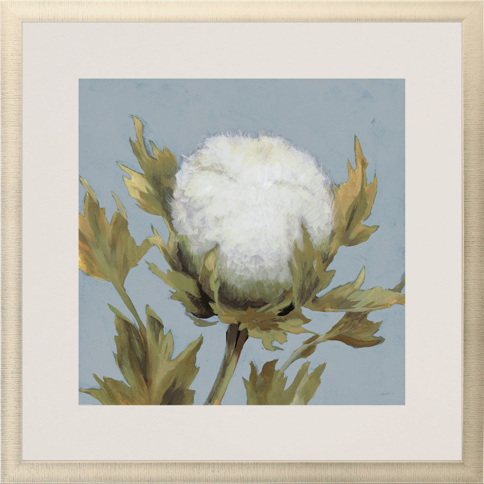 Cotton Balls I