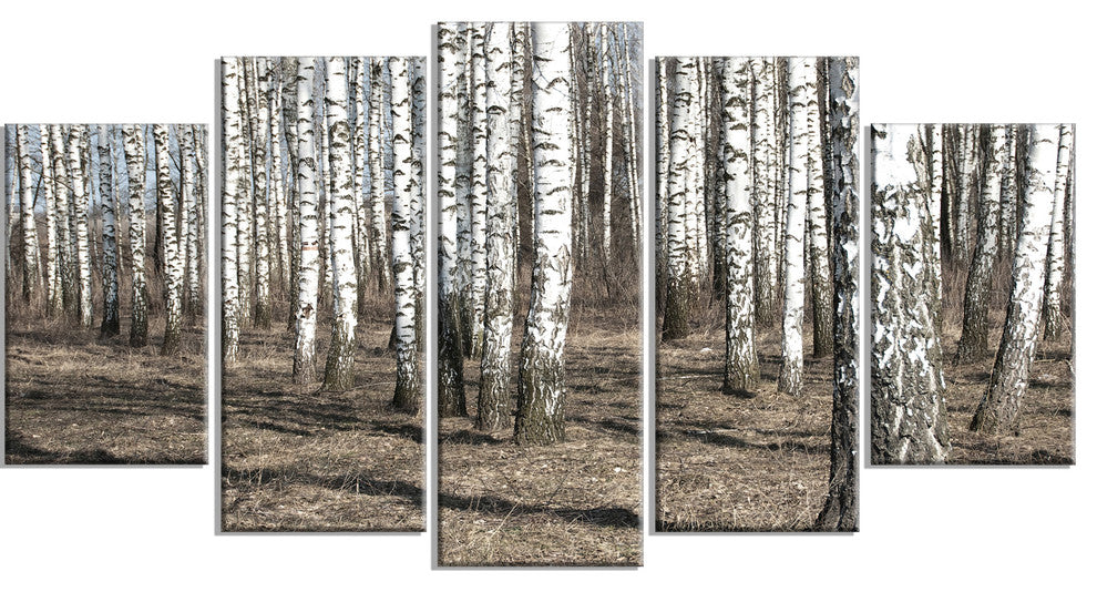 Beautiful Dense Birch Forest View, Modern Forest Canvas Art, 60"x32", 5 Panels