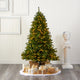 6' Sierra Spruce Natural Look Faux Xmas Tree W/ Clear Lights & Bendable Branches