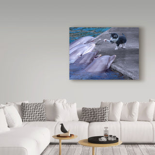 "Kitty Kitty" by Ata Alishahi, Canvas Art, 47"x35"