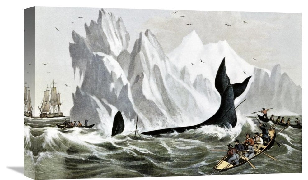 "Capturing The Whale" Stretched Canvas Giclee by Currier and Ives, 22"x14"