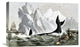 "Capturing The Whale" Stretched Canvas Giclee by Currier and Ives, 22"x14"