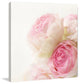 Marmont Hill, "Roses" by Sylvia Cook Painting Print on Wrapped Canvas, 48x48