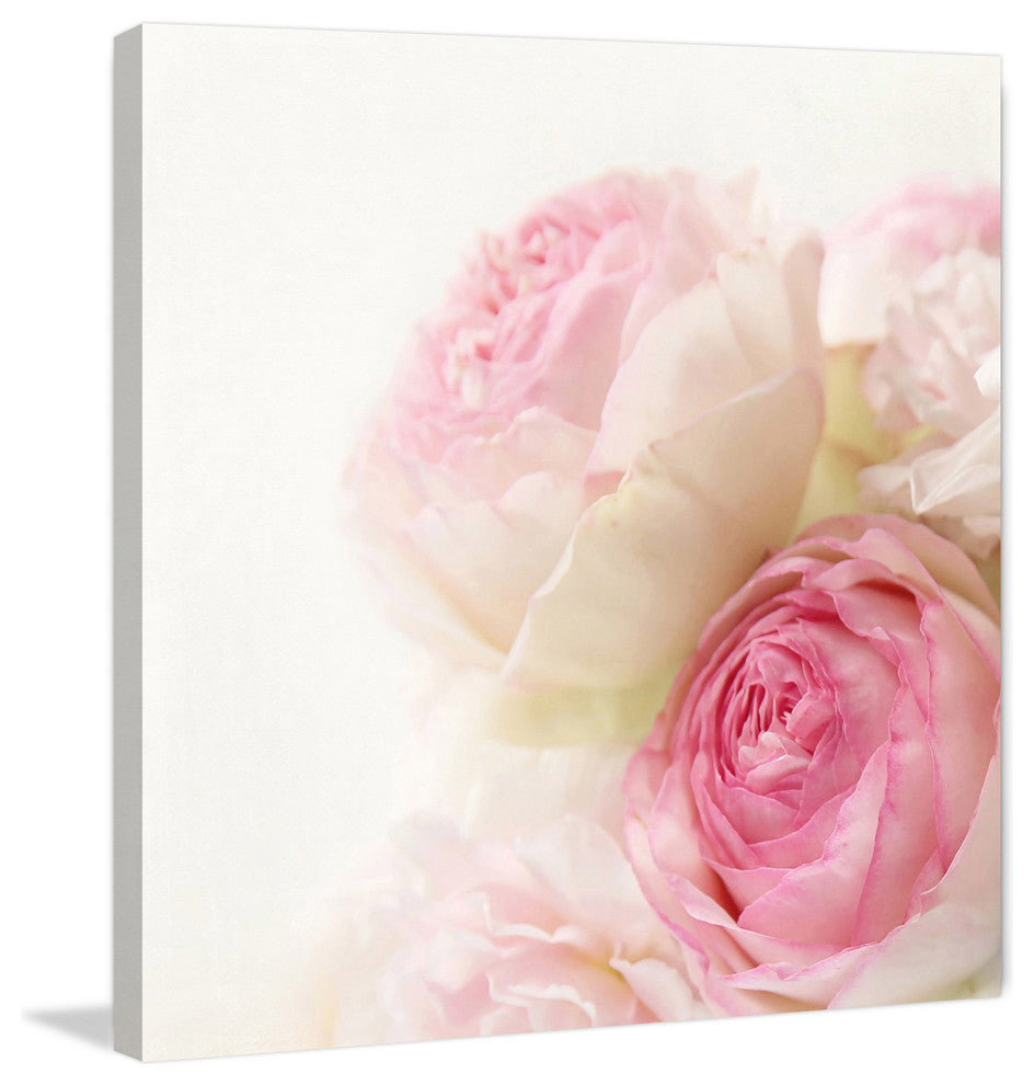 Marmont Hill, "Roses" by Sylvia Cook Painting Print on Wrapped Canvas, 48x48