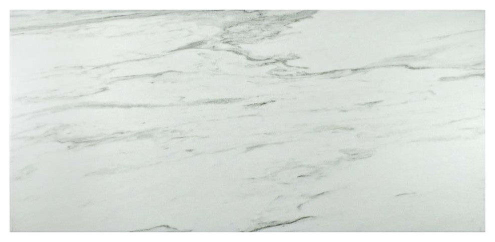 Eterno Carrara Porcelain Floor and Wall Tile, Sample
