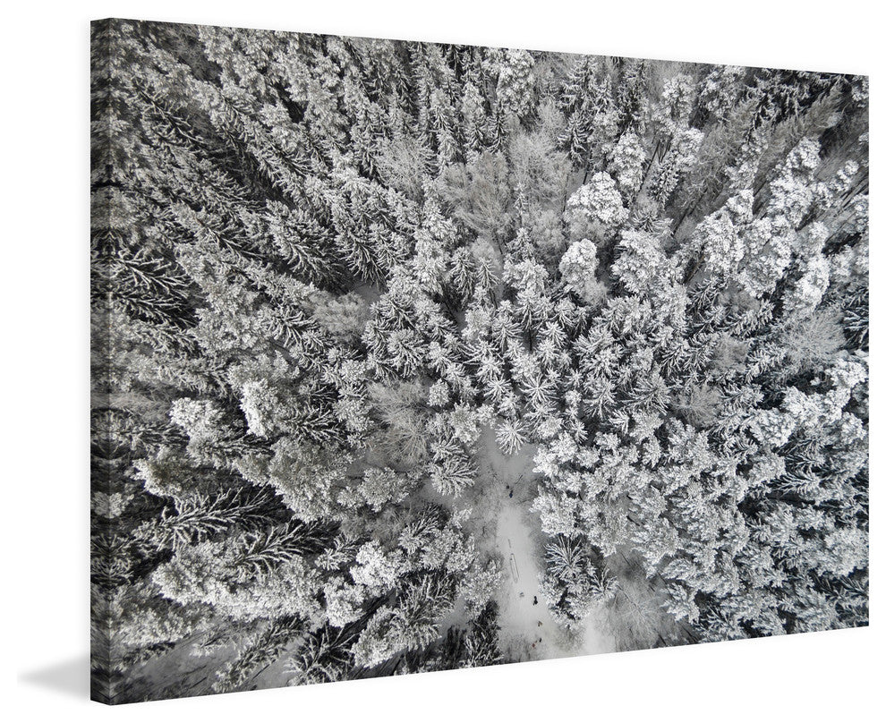 "Frozen Friends" Print on Canvas by Karolis Janulis