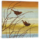 "Morning Song I" by Chris Donovan, Canvas Print, 37"x37"