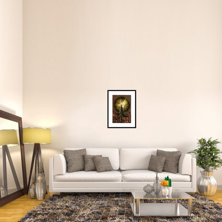 "Four Centuries High" Framed Digital Print by Francois Casanova, 22x30"