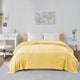 Intelligent Design Solid Microlight Plush Brushed Blanket, Full/Queen