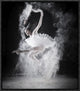 "F L Y" Framed Canvas Giclee by Yudhistira Yogasara, 15x17"