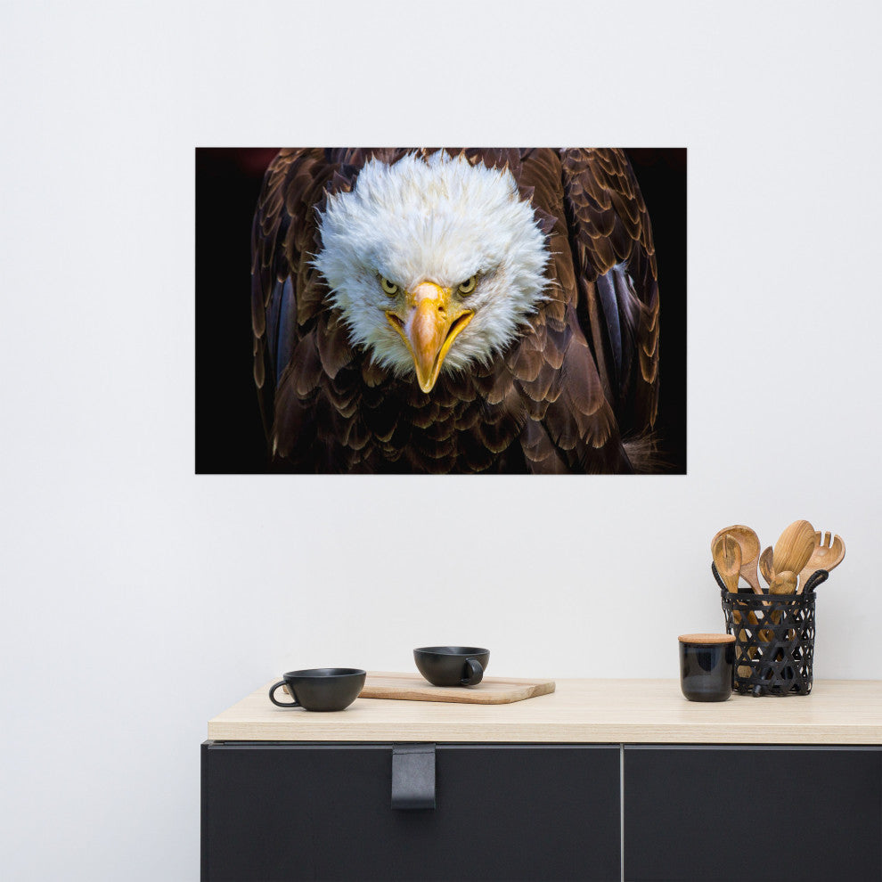 Bald Eagle Portrait Close-up Loose Wall Art Print, 24" X 36"