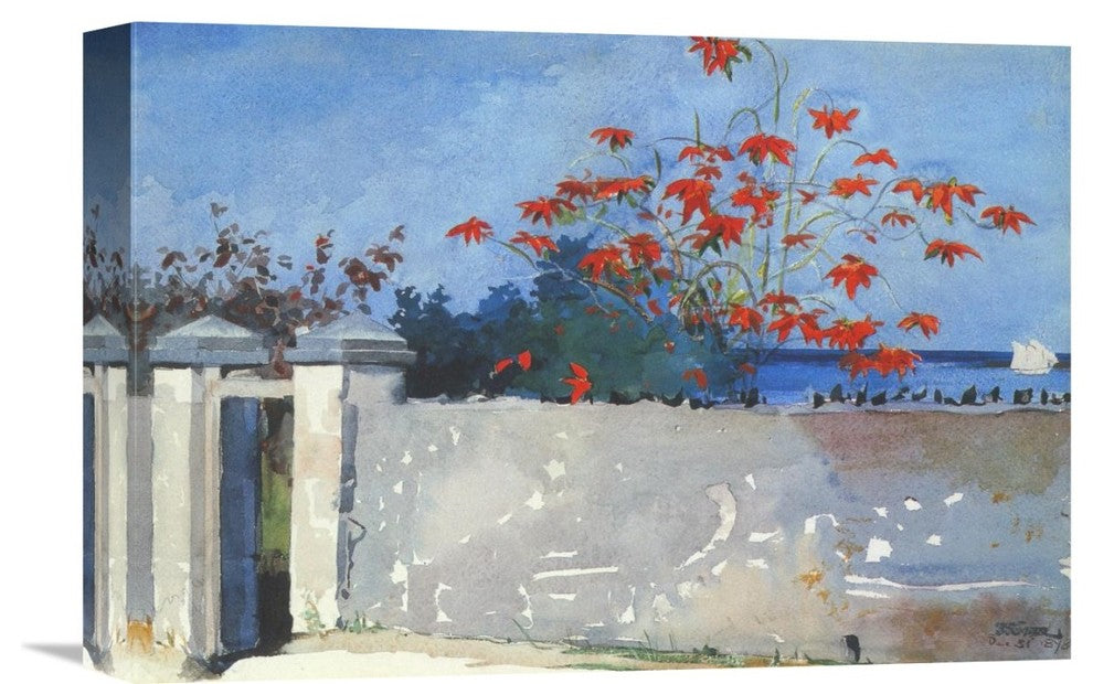 "A Wall Nassau" Stretched Canvas Giclee by Winslow Homer, 16"x11"