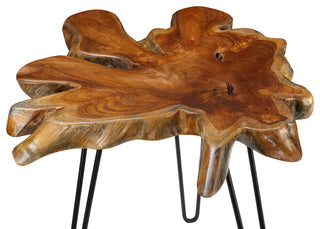 Bare Decor Evan Accent End Table With Solid Teak Root Top