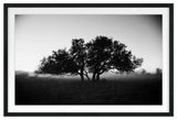 Foggy Morning Fine Art Print, Black, 20"x30"