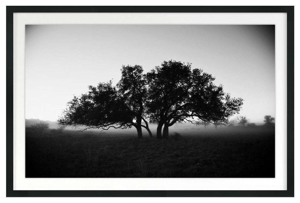 Foggy Morning Fine Art Print, Black, 20"x30"