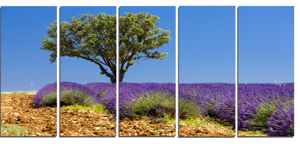 Lone Green Tree in Lavender Field, Large Landscape Canvas Art, 60"x28", 5 Panels