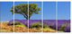 Lone Green Tree in Lavender Field, Large Landscape Canvas Art, 60"x28", 5 Panels