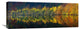 "Autumnal Silence" Stretched Canvas Giclee by Burger Jochen, 30x12"