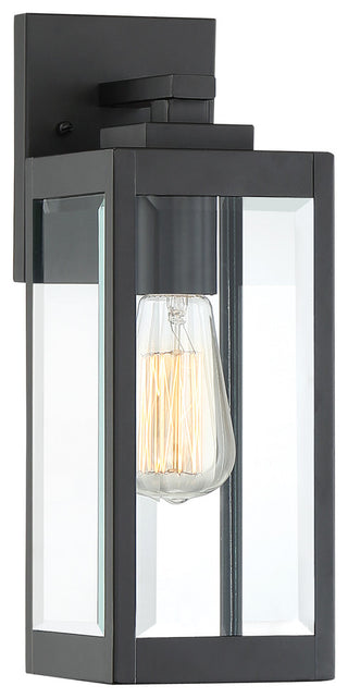 Westover 1-Light Outdoor Lantern, Earth Black