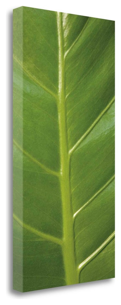 "Verdant Trio III" By Jeff, Giclee Print on Gallery Wrap Canvas, Ready to Hang