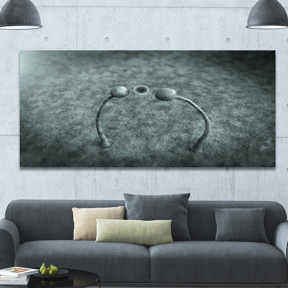 Fungus on Leather Surface, Large landscape Canvas Art Print, 60"x28"