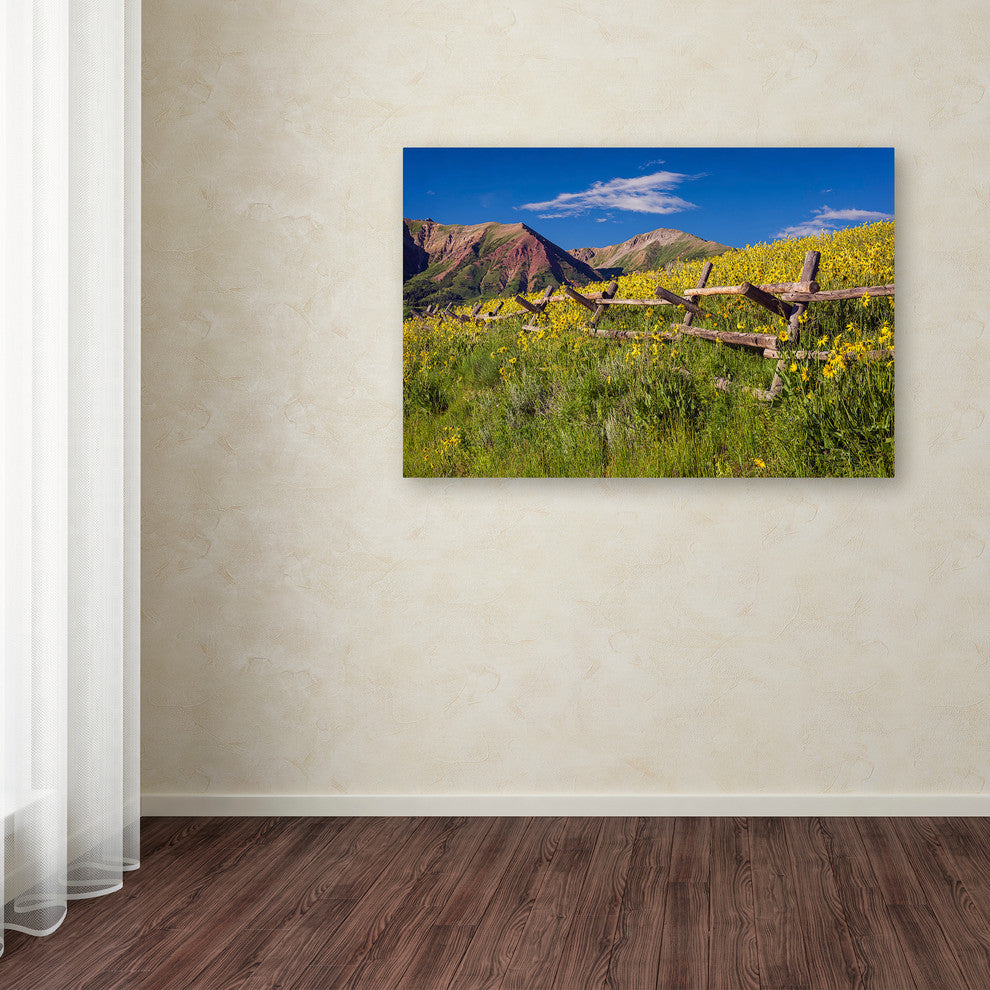 Michael Blanchette Photography 'Wood Fence' Canvas Art, 32"x22"