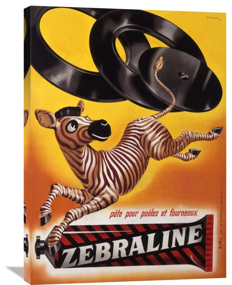 Zebraline, 26"X36"