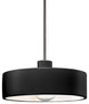 Radiance Dish Pendant, Carbon, Matte Black, Brushed Nickel, Rigid Stem, E26
