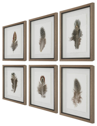 Uttermost Birds Of A Feather Plastic & Paper Prints in Brown/White (Set of 6)