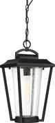 Nuvo 1-Light Lakeview Aged Bronze Hanging Lantern Light