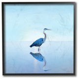 BHeron Ocean Bird  Animal Photograph, 12"x12"