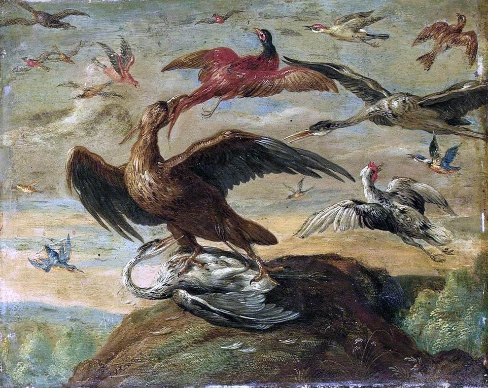 Jan Van I Kessel Birds, 20"x25" Wall Decal