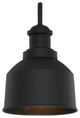 1-Light Outdoor Wall Lantern, Matte Black